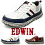 EDWIN  ˡ    4e ɥ 󥺥ˡ  ä  »η ɥ EDWIN edm639Źפ򸫤