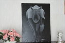 【即納・ティンガティンガ生原画】ムクラ<MKURA>の「カバ」 巨匠の作品・入手困難品・大型80x60cm木枠張り・カンと紐つきでスグ飾れます・事務所や待合室の装飾に是非 バックカラー:黒