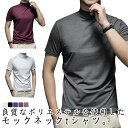 カットソー 夏 tシャツ 【2枚セット】モックネック インナー ハイネックtシャツ 半袖 ゴルフウエア 細身 メンズ ストレッチ 紳士 無地 シンプル トップス