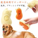 ブラッシング 噴霧式 充電式 スチームブラシ ペットブラシ 犬猫両用 蒸しブラシ 長毛 短毛 猫 犬 ねこ いぬ ペット マッサージ スチーマーブラシ ミスト 蒸気 充電コード付き ブラシ 犬ブラシ 猫ブラシ 犬猫兼用 送料無料