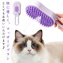 ペットブラシ 犬猫両用 噴霧式 充電式 長毛 短毛 猫 犬 ねこ いぬ ペット ブラッシング ミスト 充電コード付き ブラシ 犬ブラシ 猫ブラシ 犬猫兼用 スチームブラシ 蒸気 送料無料
