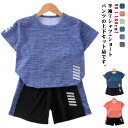 ショートパンツ 小学生 キッズ 上下セット 半袖 スポーツウェア 子供 半袖 スポーツ 半ズボン 2点セット 男の子 女の子 運動着 90 おしゃれ かわいい 速乾 幼稚園 保育園 幼児 ジュニア 吸汗速乾 100 110 120 130 140 セットアップ