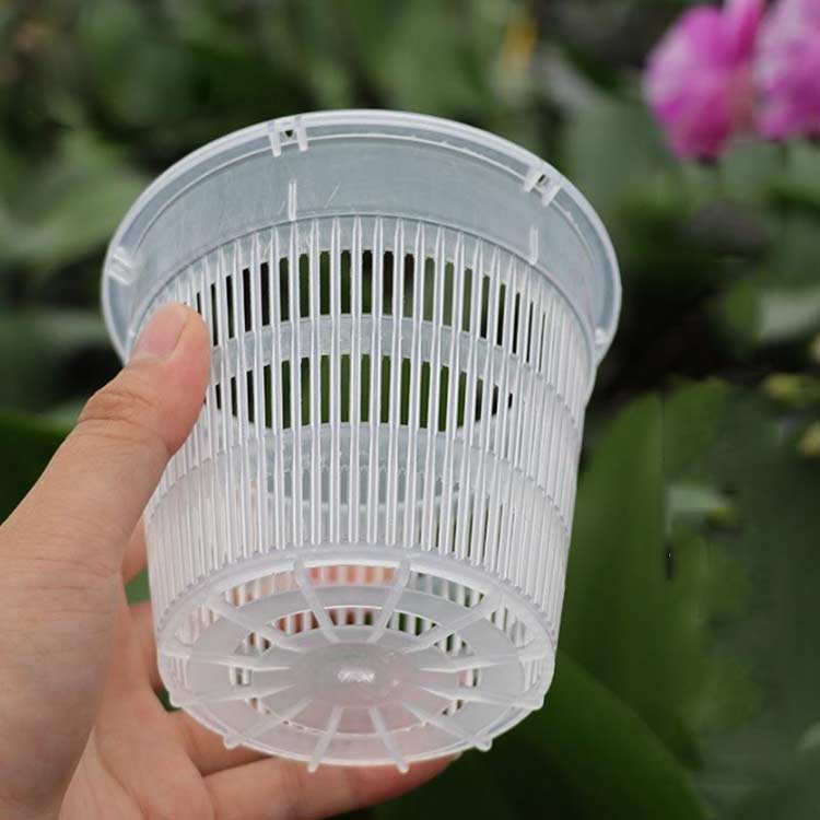 10セット！観葉植物 植木鉢 多肉植物 直径14cm 洋蘭 胡蝶蘭 植木鉢 育苗ポット 透...