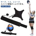 練習 バレーボール 中学生 サービストレーナー サッカー 5号球 練習器具 送料無料 バレー練習 送料無料 対応 トレーニング サッカー バレーボール 1人 自主練 4号球 サーブ練習 上達 小学生 バレーボール 中学校 高校 大学 ママさん(4)