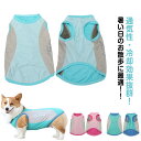 ウェア 犬 濡らす クール 【8XL-11XL】 ひんやり 着せる 冷感 メッシュ タンクトップ 冷却 瞬間 犬用 【8XL-11XL】 犬服 夏服 大型犬 濡...