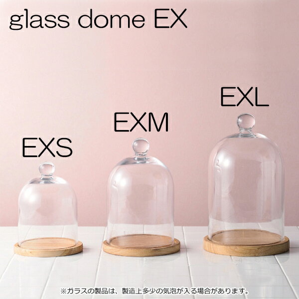 ガラスドーム グラスドーム　ドームグラス　ディスプレイドーム　glassdome　EXL