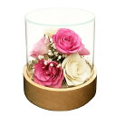 レンデフロール バラ かすみ草 ドライフラワー ボトルフラワー ST-D 送料無料 花ギフト 花束 お祝い プレゼント 記念品 生花 インテリア W135×H135mm (ベースを含む)