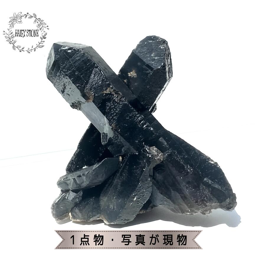 ѥȡ ŷ 饹  ꥪ 569g  ƥꥢ  ֥  ե ץ쥼   ϥɥᥤ   ...