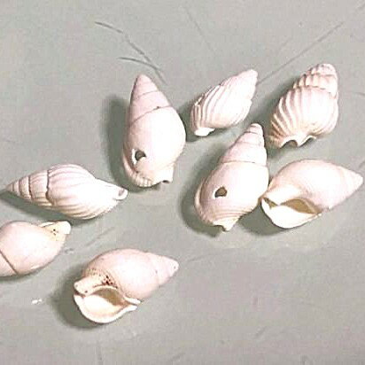 パワーストーン 巻貝 穴あき 20個 ハンドメイド 素材 セット売り プレゼント アクセサリー 女性 男性 ハンドメイド ギフト 運気 幸運 オリジナル メンズ...