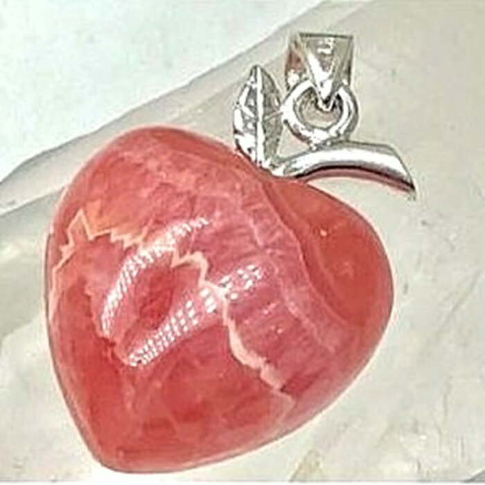 ѥȡ ڥȥȥå ŷ 󥫥 ϡ SV925 ץ쥼   ꡼ 1ʪ No.12958 ե   ...