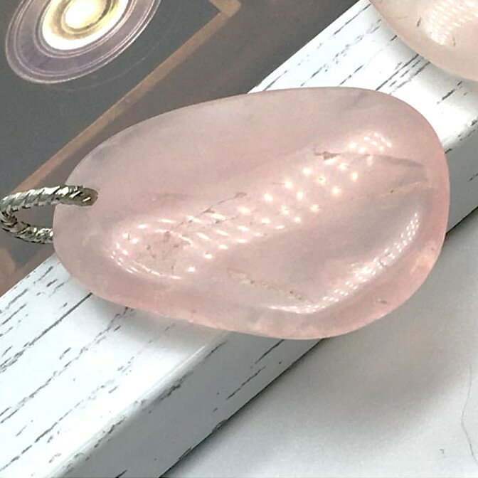 ��15��OFF �����ͥ����ݥ�� �ѥ���ȡ��� �ڥ����ȥȥå� ŷ���� �������������� �ץ쥼��� ���� ���� ���������꡼ ���ե� ���� ���� ���ꥸ�ʥ�...