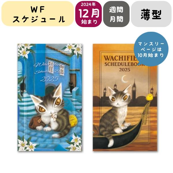 [2025ǯ] դ WF塼 2025 (Ĥ()/ɥ) []
