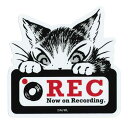 わちふぃーるど ステッカー REC 3 日本製