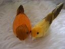 福鳥 パステル 大・小2個セット オレンジ/イエロー☆再入荷☆