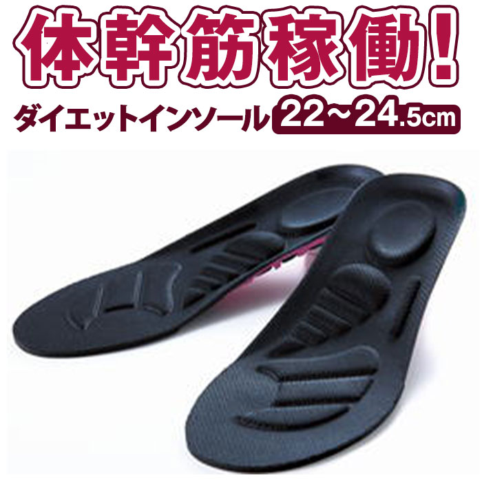 体幹トレーニング ダイエット【体幹筋エクササイズインソール】 S M L 中敷き ツインボール 効果 矯正 靴 体幹 骨盤 ダイエット カロリー消費 ウォーキン...