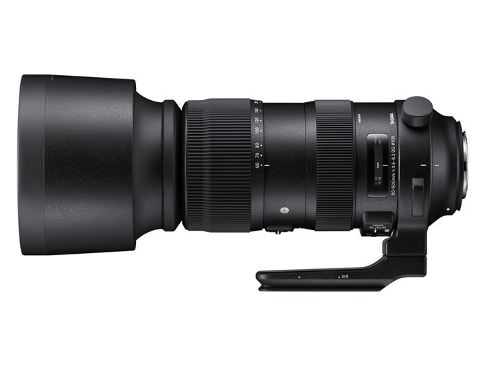 シグマ 60-600mm F4.5-6.3 DG OS HSM ニコン