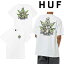 ϥ HUF X CYPRESS HILL CYPRESS TRIANGLE TEE ץ쥹ҥ T Ⱦµ  ȥ饤󥰥 HIPHOP     ȥ꡼ 