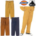 ディッキーズ エクストララージ XLARGE × DICKIES OVERDYE WORK PANTS ディッキーズ コラボ オーバーダイ ワーク パンツ ボトム メンズ ブランド ストリート