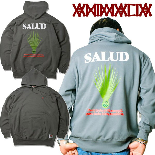 アニマリア ANIMALIA 10oz P/O Hoodie(loop terry) -SALUD アガベ パーカー 植物 スペイン メスカル プルオーバー フーディー パーカー ロゴ メンズ ブランド(4)