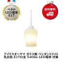 アイリスオーヤマ LEDペンダントライト ガラス製 E17口金 PL5L-E17PTN ペタロ Petalo 540lm 電球色相当 電球付き インテリア照明