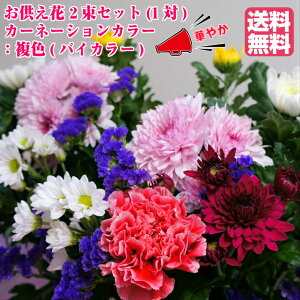 ★あす楽購入用★ お供え花 2束セット(一対) カーネーションカラー：複色【送料無料】菊生産者 新鮮 国産 生花　花束 仏花 お盆 彼岸 供養 お悔やみ お墓参り 墓花 輪菊 法要法事 月命日 贈答 お供え花 供花 1対【当店オススメ】父の日参り 迎春正月 父の日参り