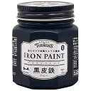 ターナー色彩(Turner Color) 水性塗料 アイアンペイント黒皮鉄 ブルー 200ml