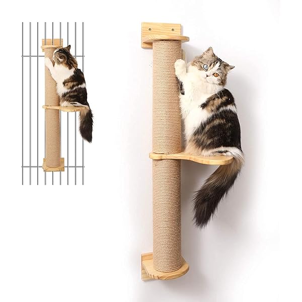 FUKUMARU 猫 アクティビティ ツリー スクラッチ ポスト付き 壁 マウント ジュート スクラッチャー パイン ハンモック