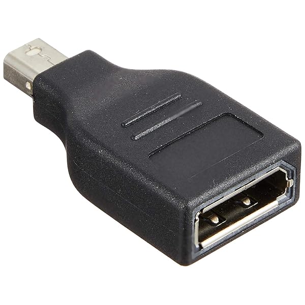 エスエスエーサービス [ DisplayPort (メス) → MiniDisplayPort (オス) ] 変換コネクタ SMDPM-DPF