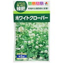 タキイ種苗 緑肥 緑化・景観用 ホワイトクローバー フィア 土づくりの強い味方。緑肥