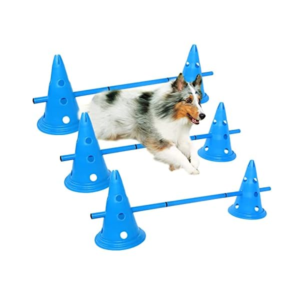 ZAKKA Plaza ŷԾŹ㤨3åȸҾҾϡɥ륻åȥڥåȲưҸȥ졼˥󥰥åȸΥȥ졼˥ѵΤ븤˥󥰥ץơڥåȲݡĥơݡݡ֥븤ʡפβǤʤ2,986ߤˤʤޤ