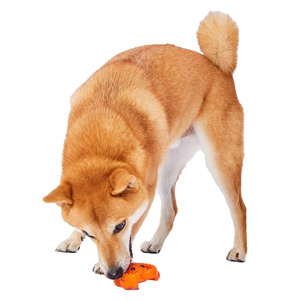 ペティオ (Petio) 犬用おもちゃ 犬雅 和食ラテックス 伊勢えび