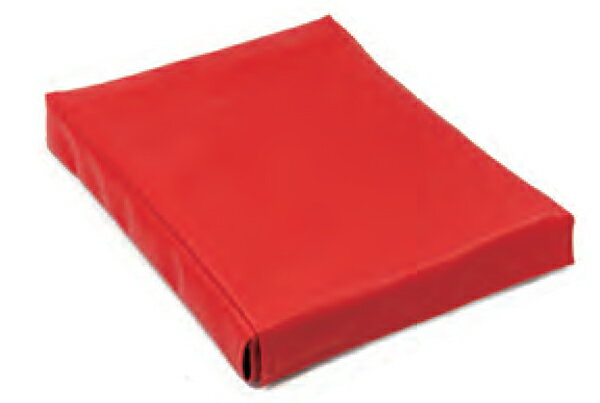 足置き台 子供用 姿勢 集中 自閉症 発達障害 多動性児童 特別支援級