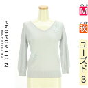 \決算★22%OFFクーポンで1973円/ プロポーションボディ ドレッシング PROPORTION BODY DRESSING ニット レディース 秋 長袖 水色/ライトブルー M 刺しゅうVネックニット 【中古】【古着】【セール】