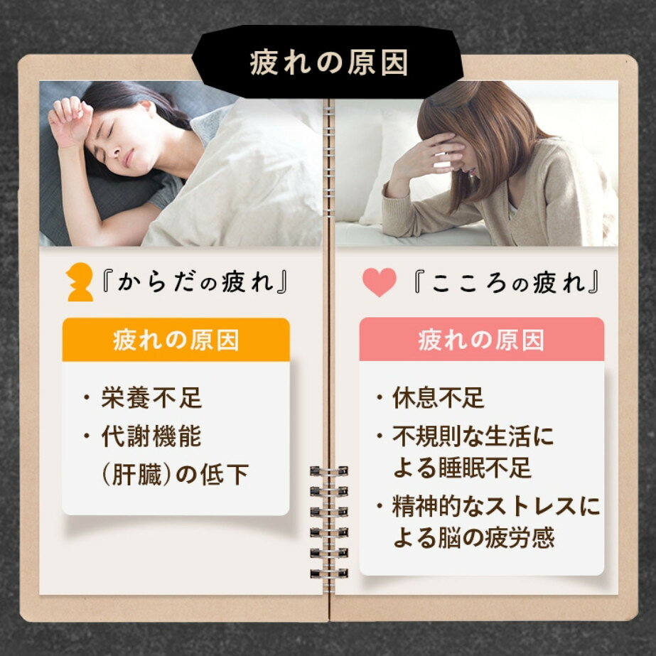 【 すっぽん ＋ プラセンタ ママの活力 サプリ 】 はればれ 31球入り 葉酸 無臭 黒...