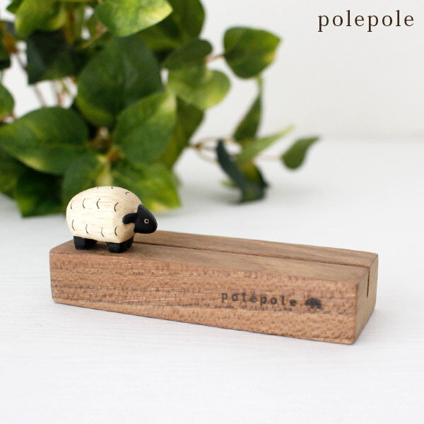 ݤݤ polepole ɥ ҥĥ Ź ۡ бԲ/᡼Բ 