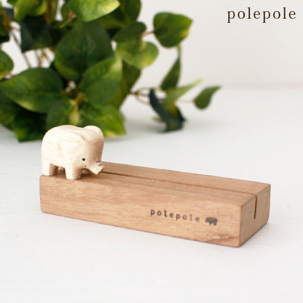 ݤݤ polepole ɥ  Ź ۡ бԲ/᡼Բ 