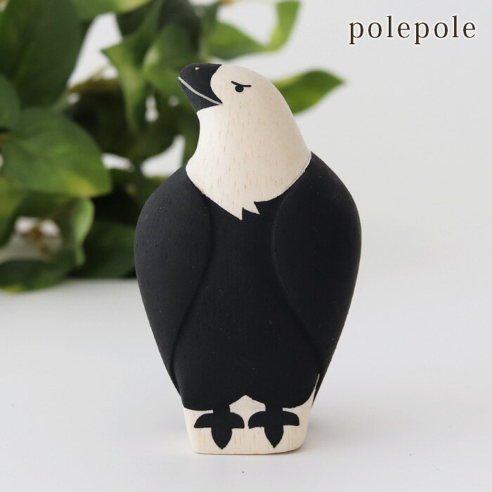 ݤݤ polepole ݤݤưʪ 롡 Ź ۡ бԲ/᡼Բ 