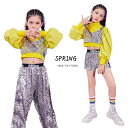 女の子 スパンコール ダンス 衣装 キッズ セットアップ キラキラ シルバー キャミソール ズボン 女の子 ショートパンツ ガールズ チアガール 演出服 ジャズダンス ステージ衣装 ダンスウェア ジュニア 練習着 団体服 JAZZ DANCE 120-180cm