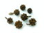 松かさ ミニ ナチュラル 1.5〜3cm（1個） 松ぼっくり クリスマスの実物 天然素材 花材 ドライフラワー