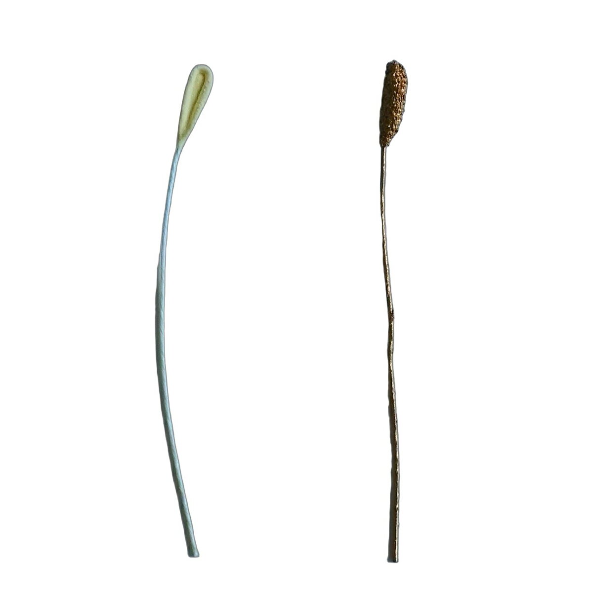 ƤŤ ݡեߥꥢߥ㤨֥ڥå ֿ ֺ 磻䡼 ɴ 1ܡ ᤷ ٤ˤʤ  Ĥޤߺٹ ݺפβǤʤ22ߤˤʤޤ