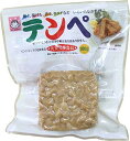 ヤマク食品 テンペ100g×10袋