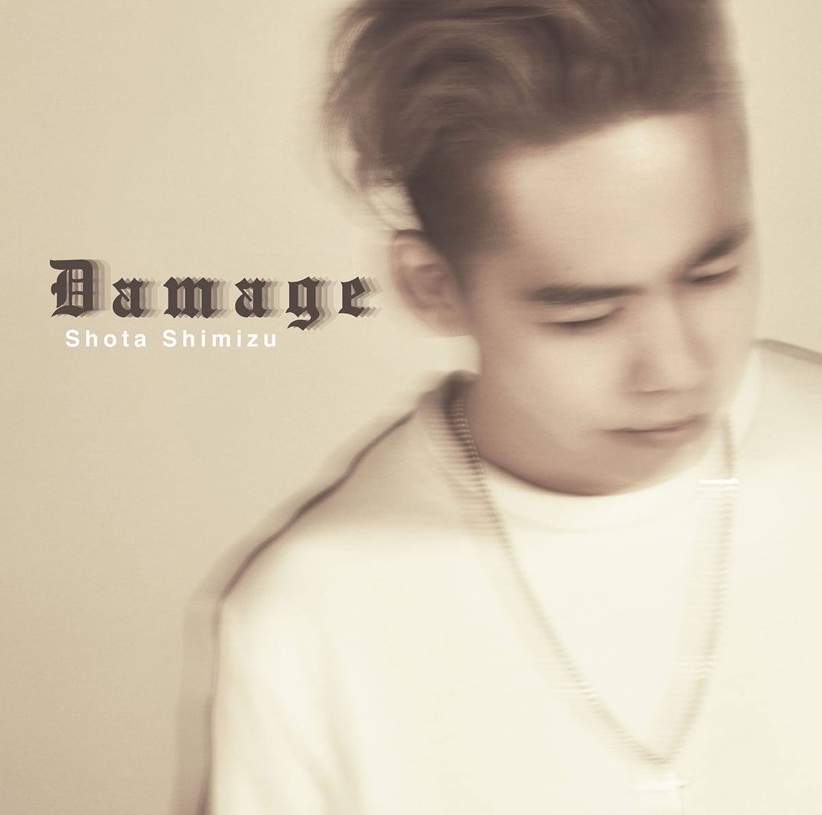 Damage(񐶎Y)