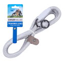スリップリード シーザーミラン Cesar Millan【正規品】 長さ120cm 太さ1-1.2cm 【世界的 ドッグトレーナー 監修】犬 引っ張り防止 散歩 トレーニング 中型犬 大型犬 (グレー, レギュラー【小・中型犬用】目安30kg未満)