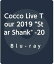 Cocco Live Tour 2019 Star Shank