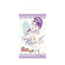 ふたりはプリキュア Splash☆Star タオルタペストリー キュアイーグレット(3)