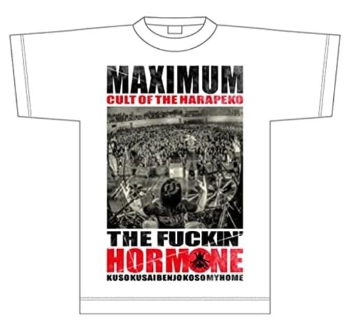 マキシマムザホルモン CULT OF THE HARAPEKO HAE 「蝿」 【M】