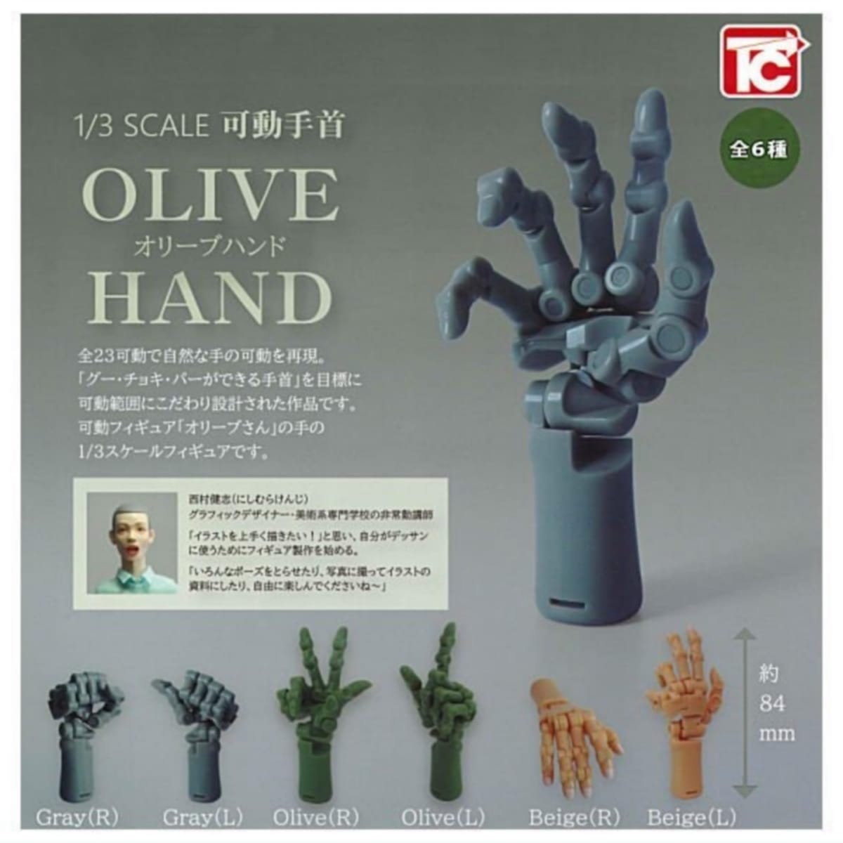 ȥӥ 1/3 SCALE ư ꡼֥ϥ  6糧å ե륳 㥬 ץȥ