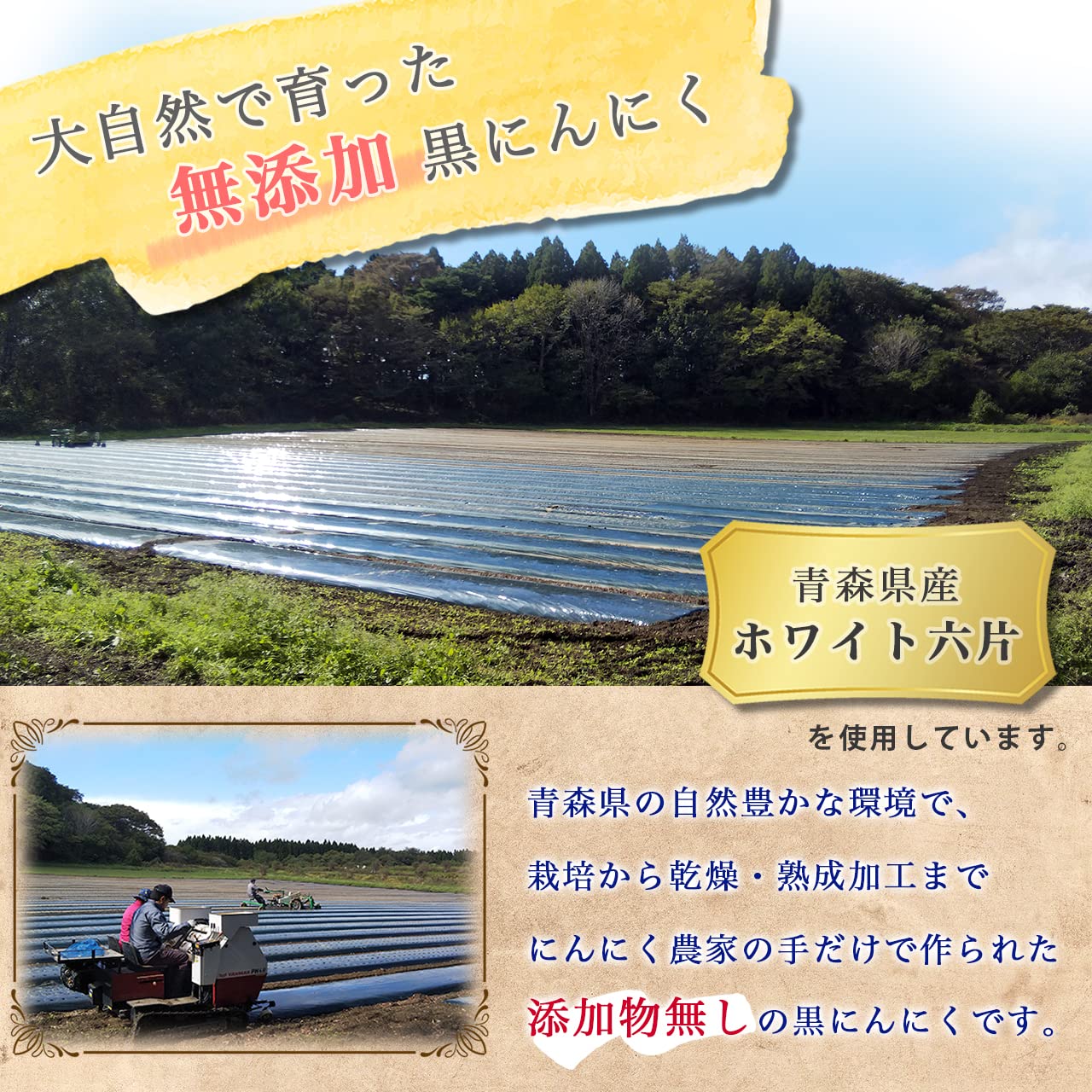【リニューアル】 熟成 黒にんにく 青森県産 (500g)