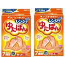 白元アース レンジでゆたぽん ぽかぽか快適睡眠 1個 ポータブル暖房 安全湯たんぽ