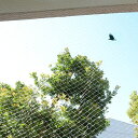 防鳥ネット 鳥よけネット 透明 ベランダ 鳩よけ カラスよけ (結束バンド15本付き) 猫侵入脱出防止 【SxP】 (4m x 10m)